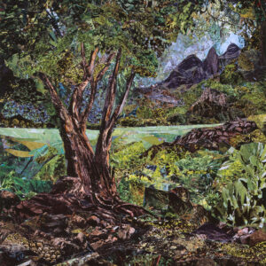 Walker Valley - New York 2004